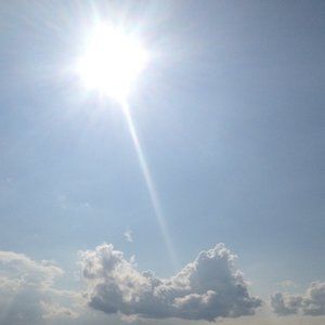 Meet your Posher, Catstro